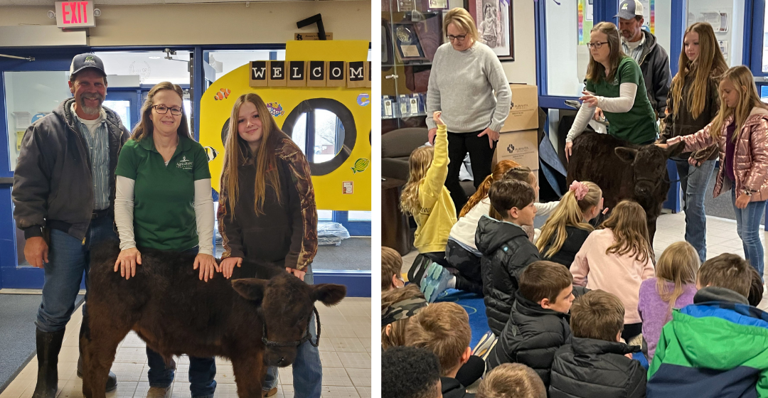 In April, Erica took Timothy the bottle calf to Ag Education on the Move classrooms to teach students about the dedication of farmers and ranchers.