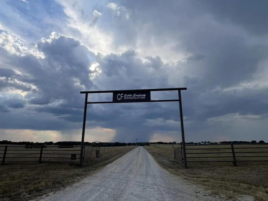 Welcome To Cf Cattle Company
