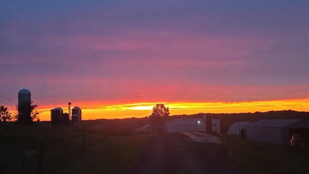 Riegel Dairy Landscape