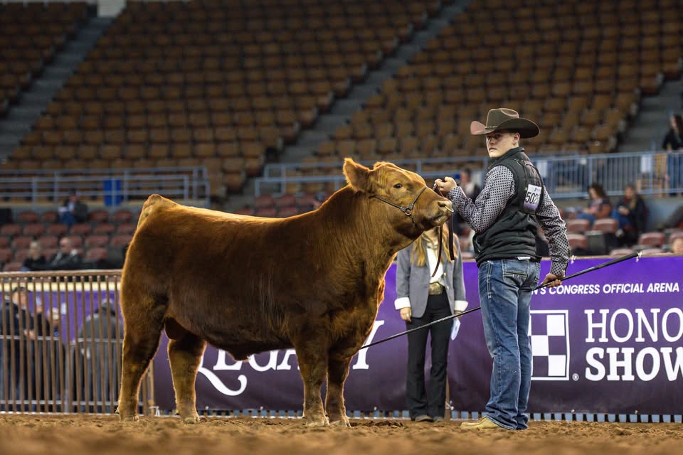 Eli excelling at showmanship Eli excelling at showmanship