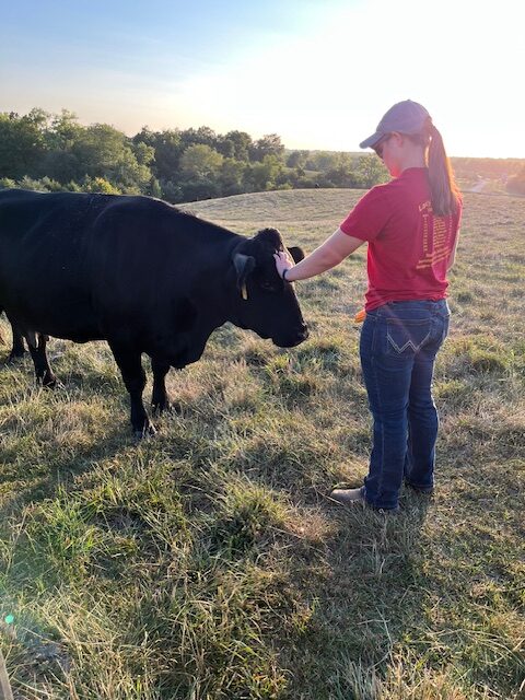 Marissa checking cows Marissa checking cows
