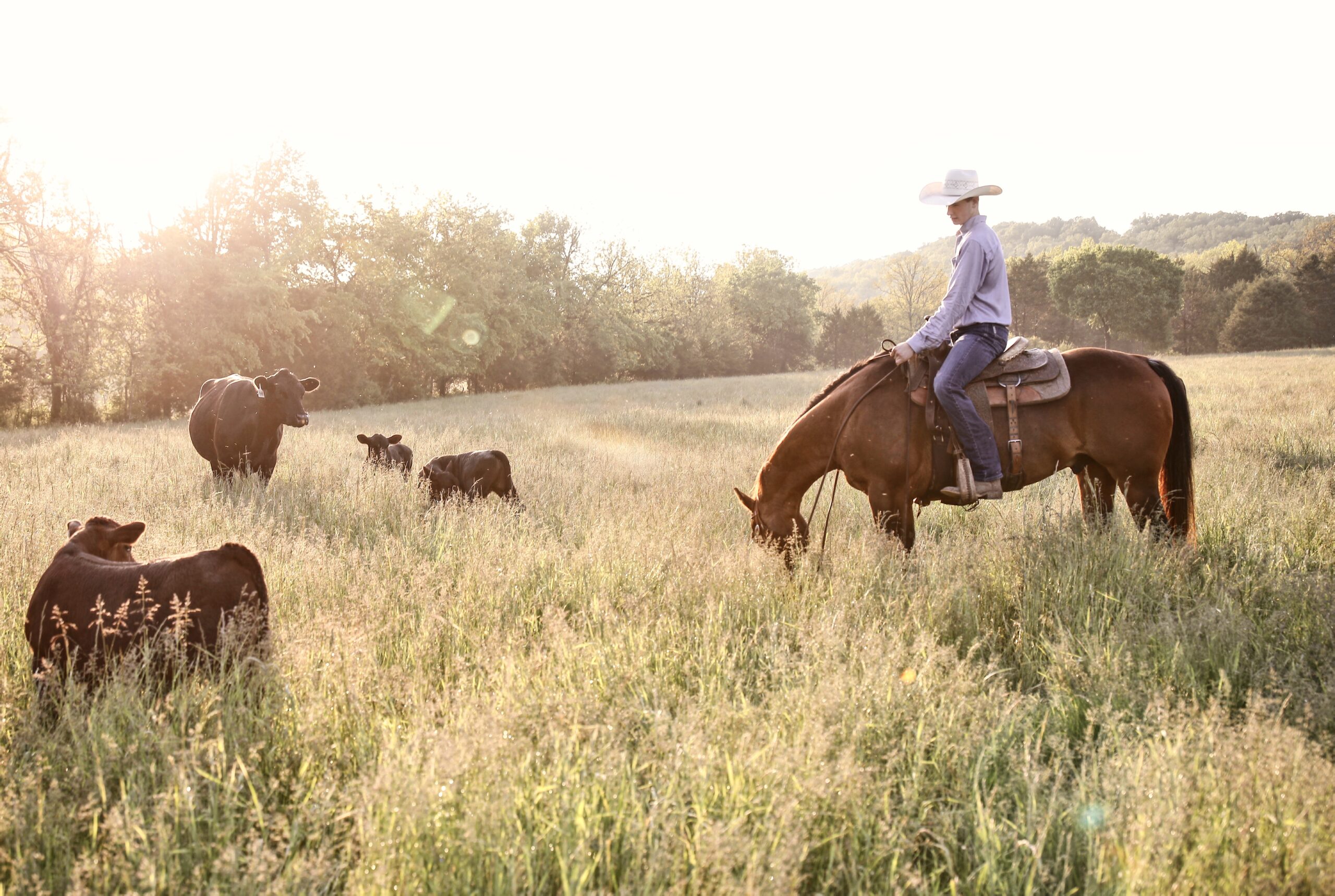 Processed with VSCO with e2 preset