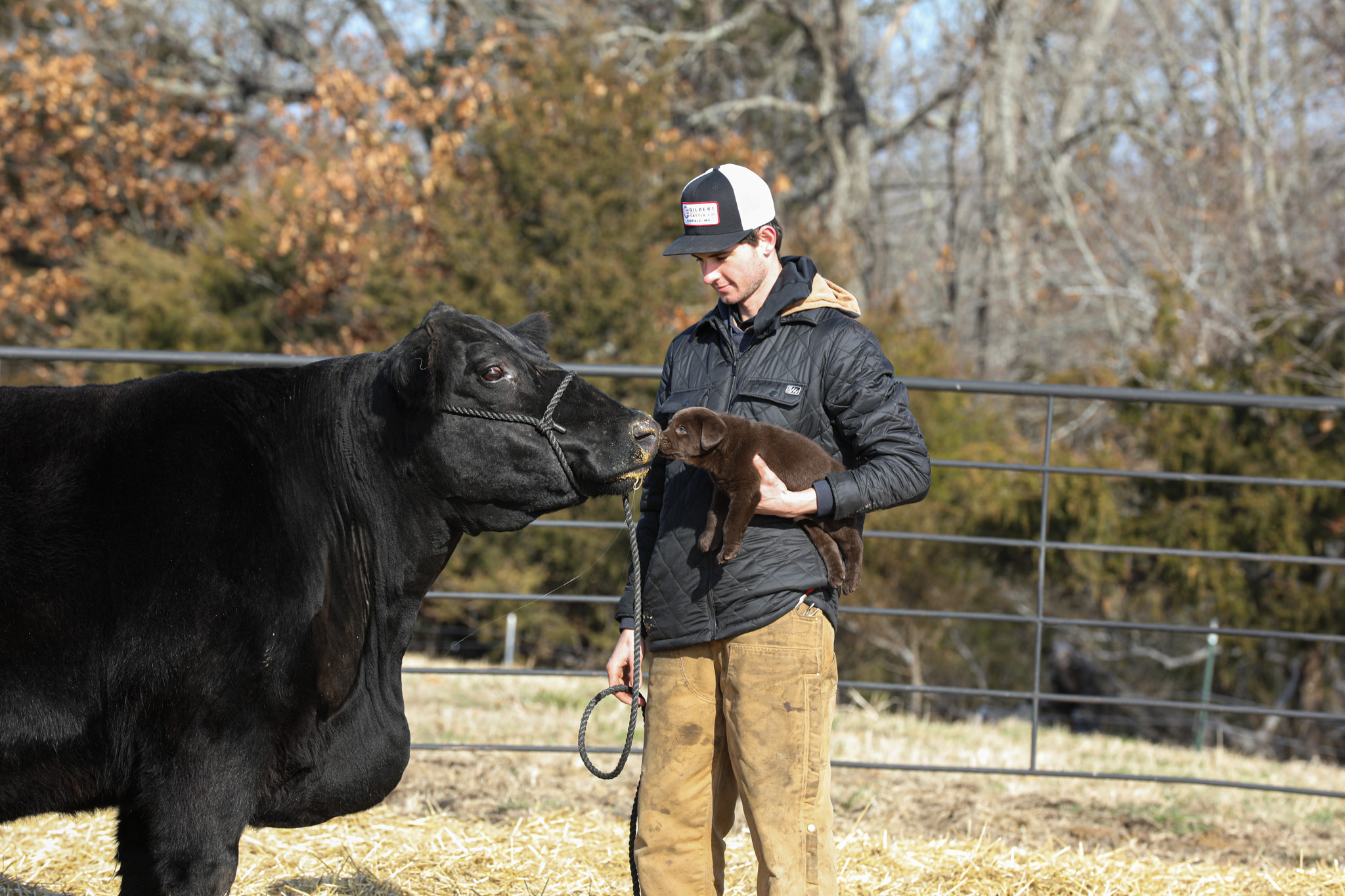 Paden with cow and puppy