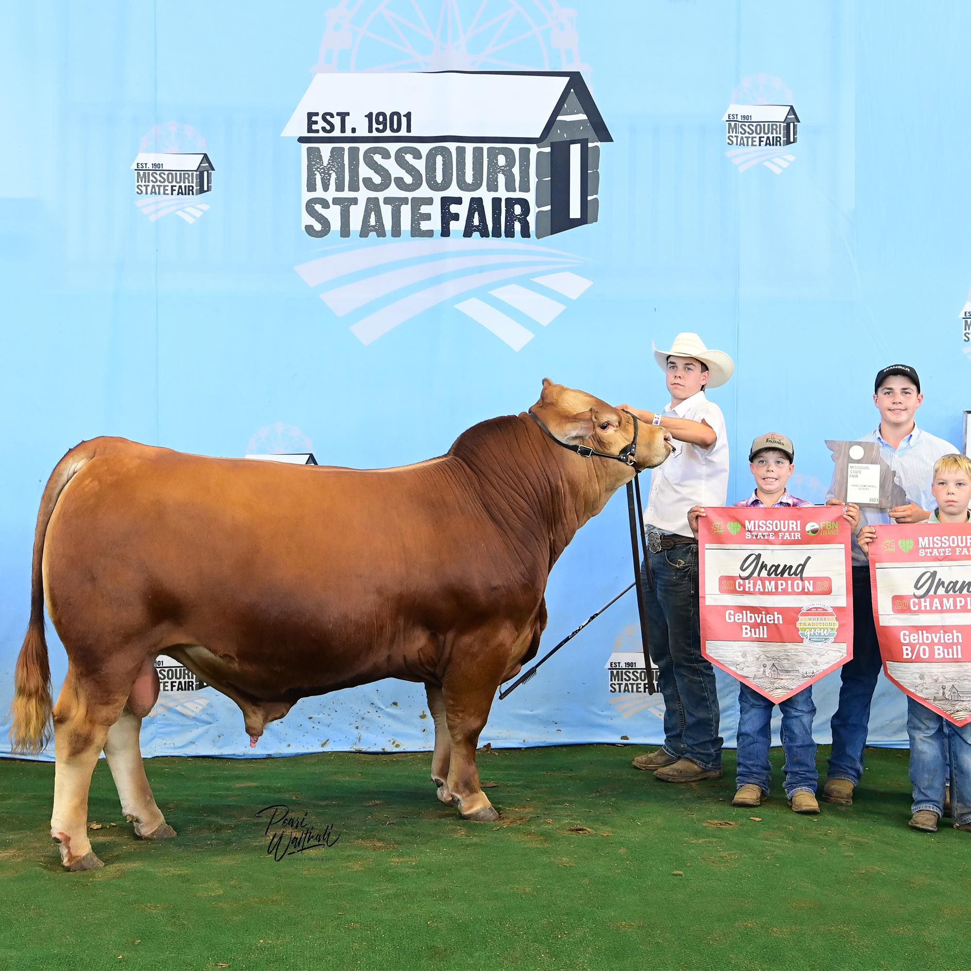 386493991_850479806530664_1629414116470975387_n