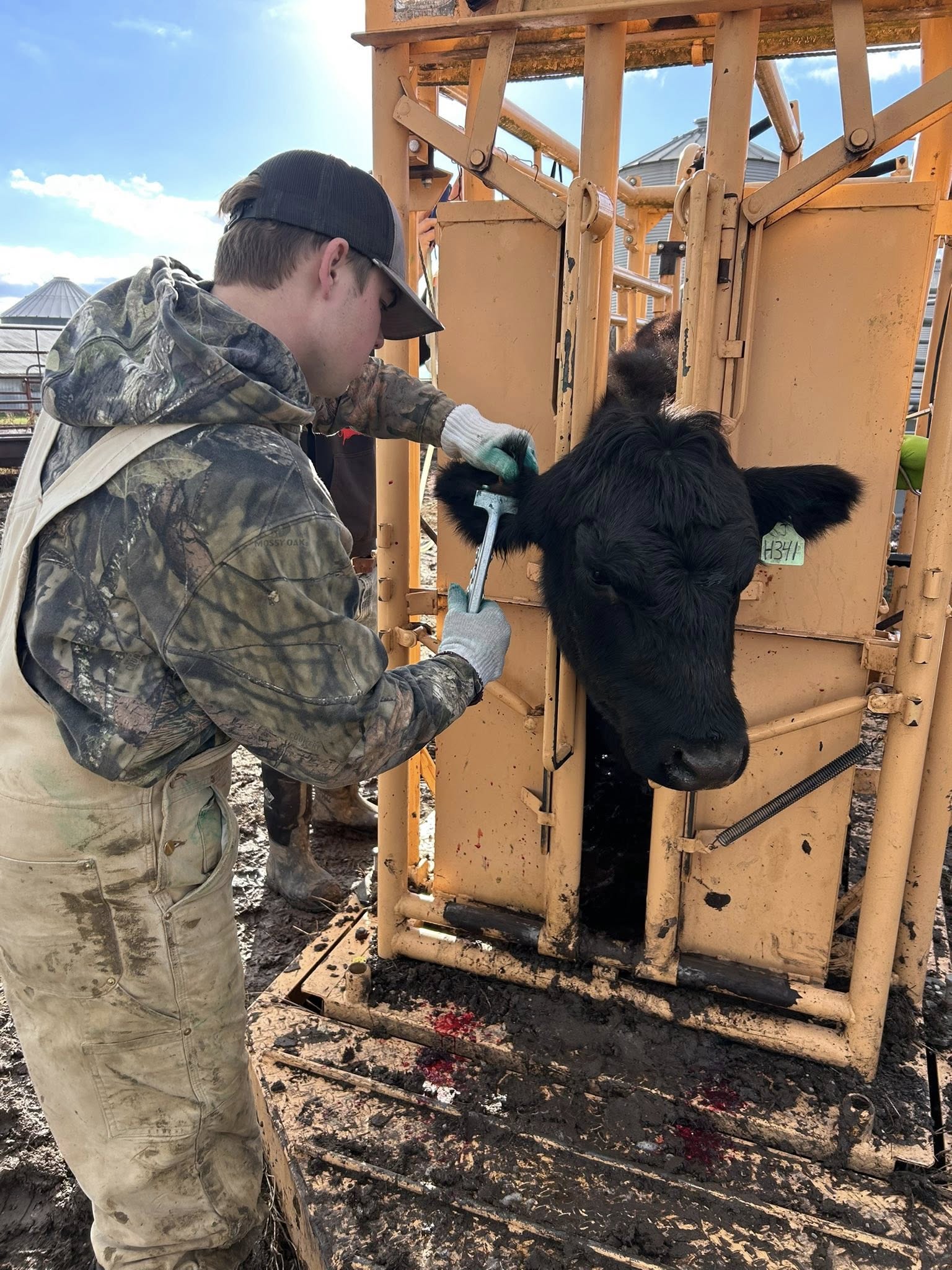 591729863_1381572770088029_1361734918848205874_n