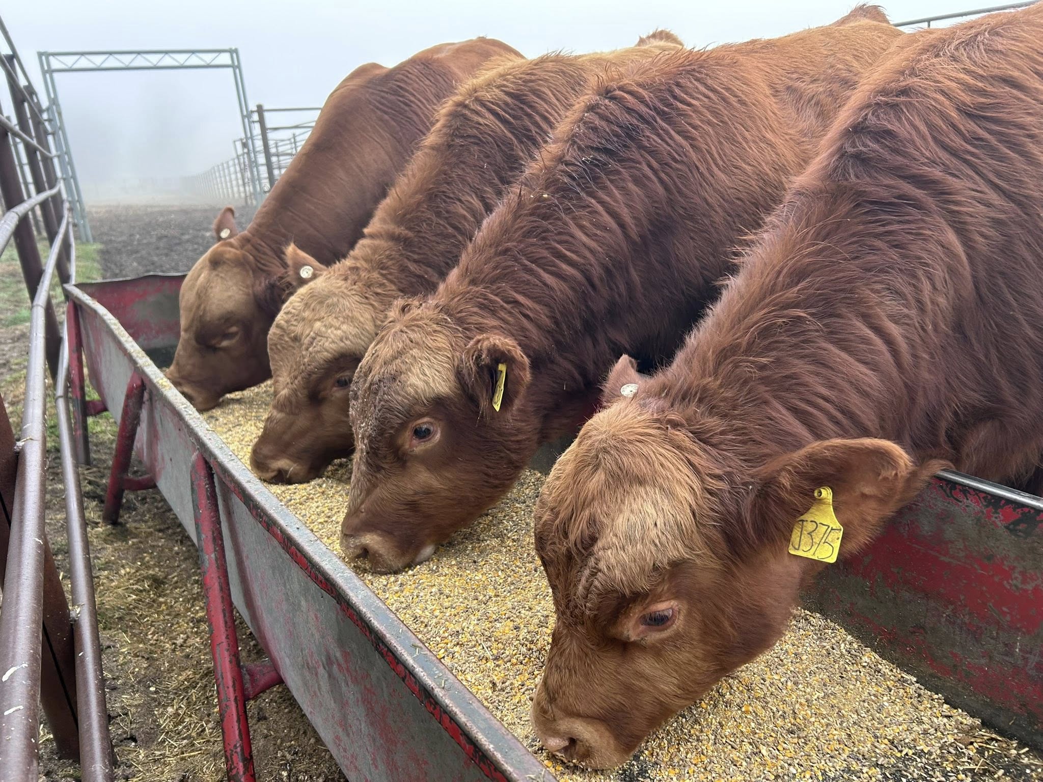 605749121_1400310661547573_4423512802017311500_n