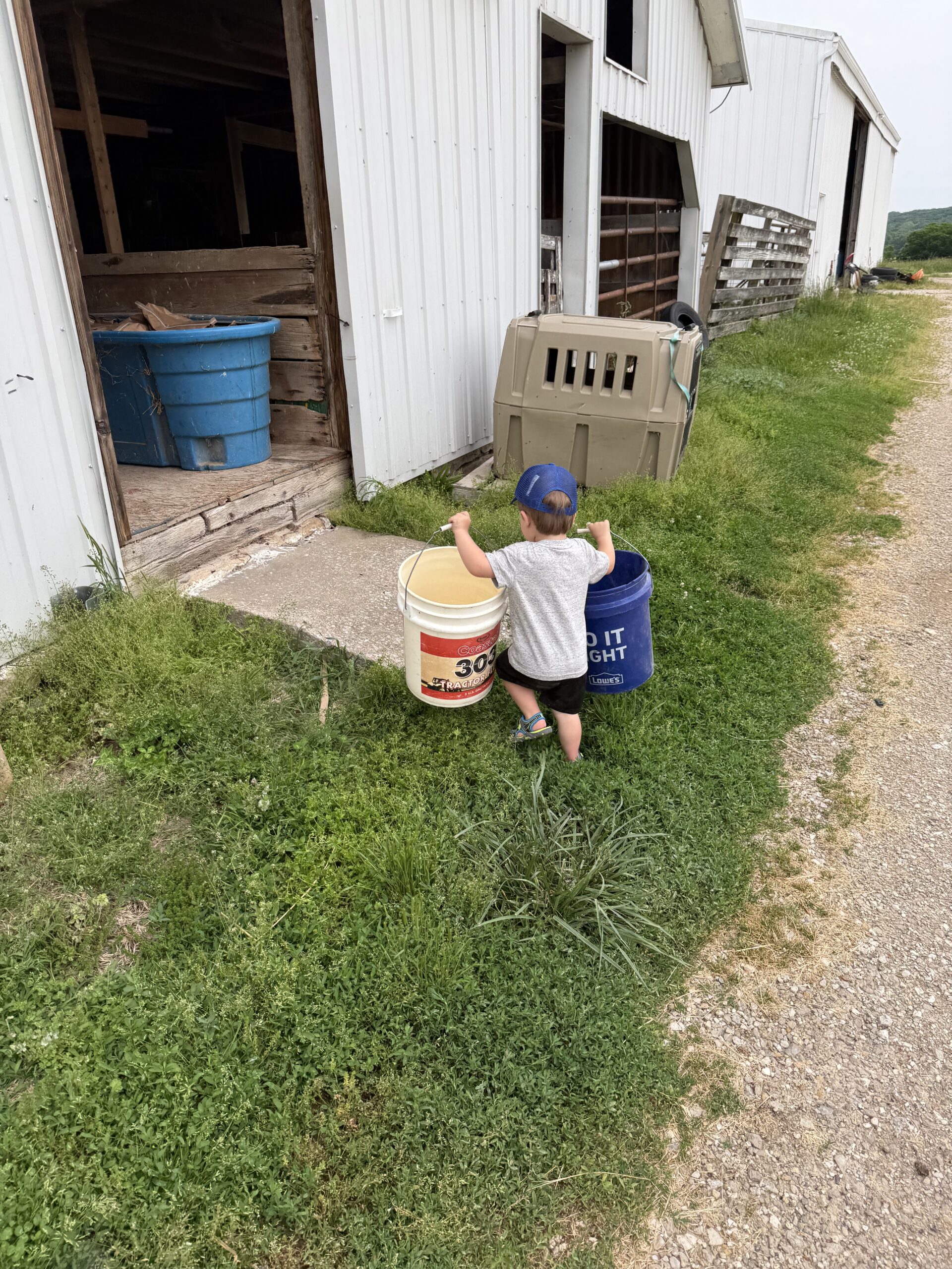 Leighton doing chores Leighton doing chores